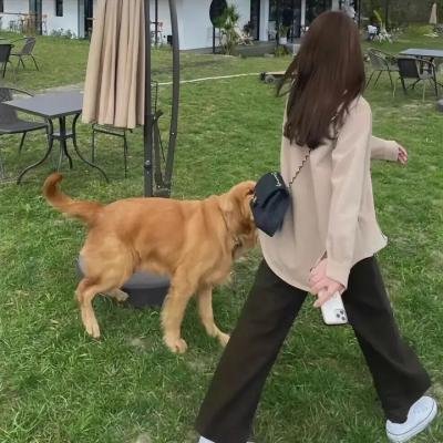 殊途同归第一季