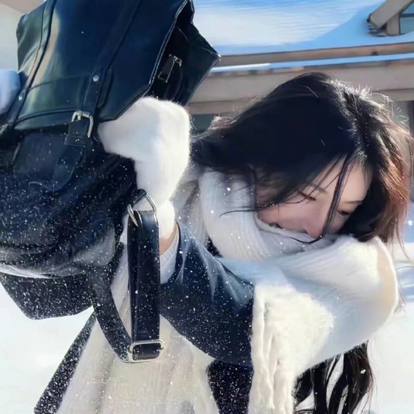 天网狼蛛